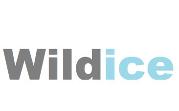 Вилдайс (Wildice.ru): отзывы, вся правда.