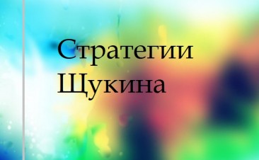Стратегии Щукина