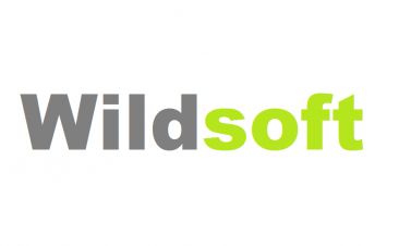 Вилдcофт (Wildsoft.motorsport.com) — статистика Формулы 1