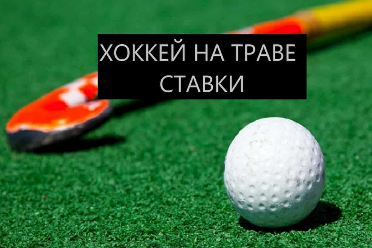 Самый предсказуемый вид спорта для ставок