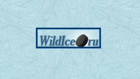 Вилдайс (Wildice.ru): отзывы, вся правда
