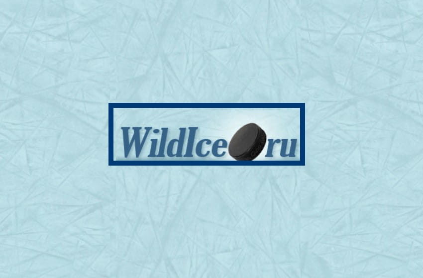 Вилдайс (Wildice.ru): отзывы, вся правда